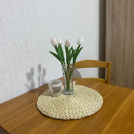 Milojkovic Lejlighed Golubac