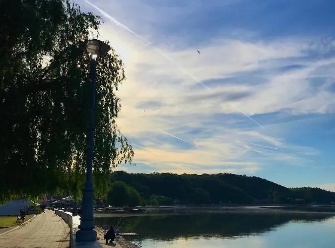 Daire Milojkovic Golubac