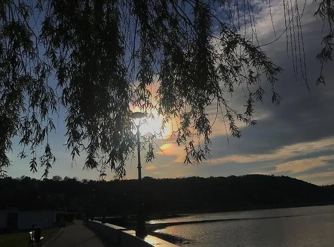 Milojkovic Daire Golubac