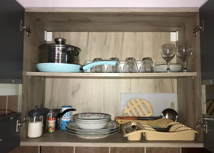 Daire Milojkovic Golubac