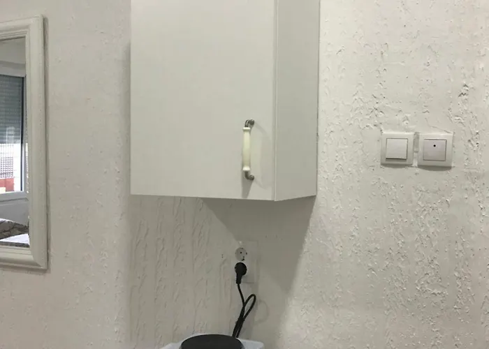 Milojkovic Daire Golubac